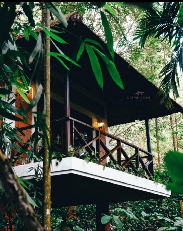 Coffee Acres Resort Kalpatta Exterior foto