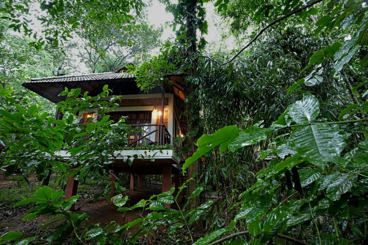 Coffee Acres Resort Kalpatta Exterior foto